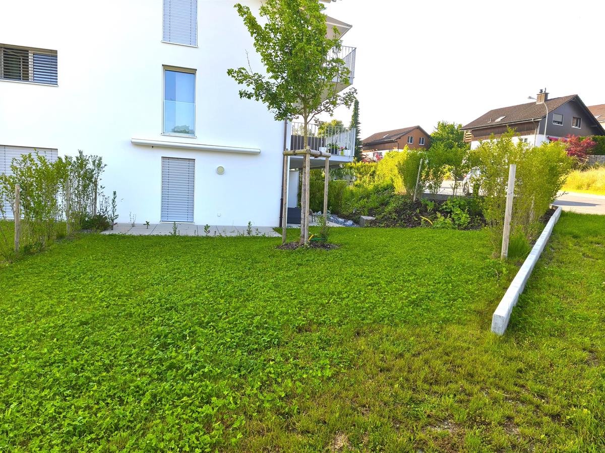 Bild 10: 3.5 Zimmer Wohnung in 8166 Niederweningen zu vermieten