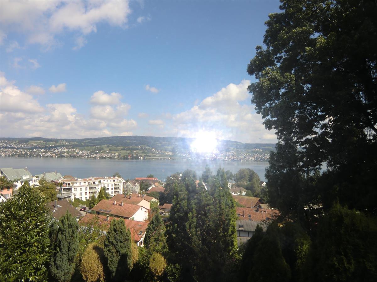 Bild 4: 6 Zimmer Haus in 8810 Horgen zu vermieten